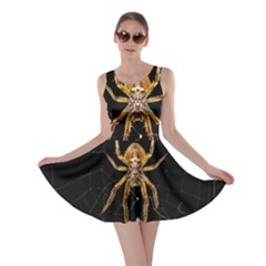 Insect Macro Spider Colombia Skater Dress by BangZart