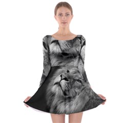 Feline Lion Tawny African Zoo Long Sleeve Skater Dress by BangZart