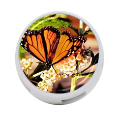 Monarch Butterfly Nature Orange 4-port Usb Hub (two Sides)  by Amaryn4rt