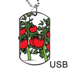 Tomato Garden Vine Plants Red Dog Tag Usb Flash (two Sides) by HermanTelo