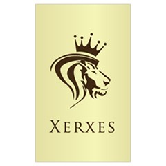 Xerxes Window Curtain (large 96 ) by ariseonlinestore