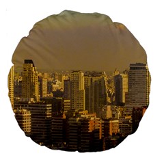 Buenos Aires City Aerial View002 Large 18  Premium Round Cushions by dflcprintsclothing